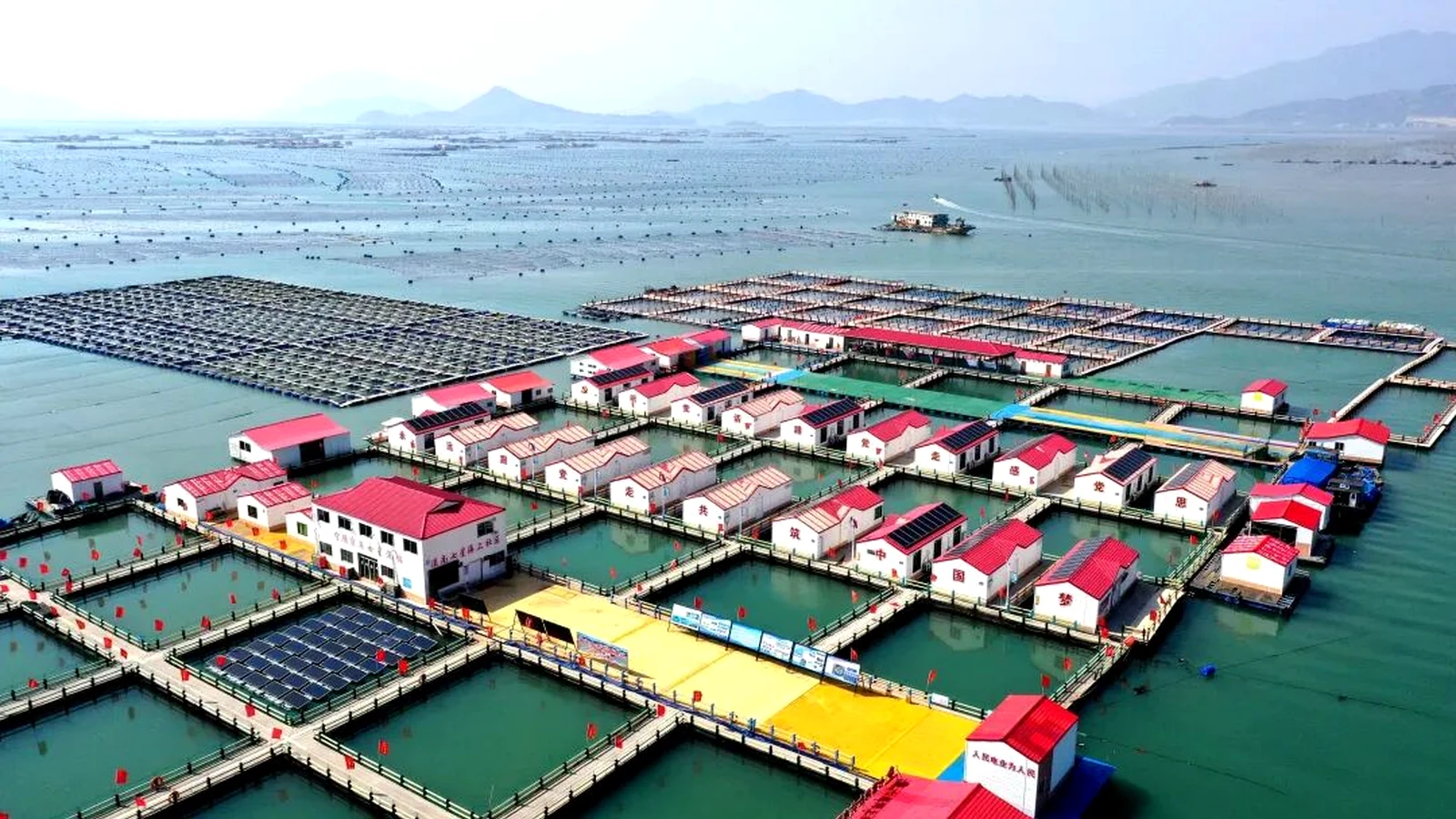 Coastal aquaculture community with rooftop solar panels as an off-grid energy application example